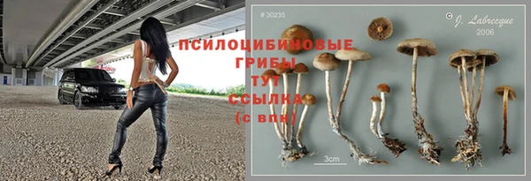 МДПВ Алексин