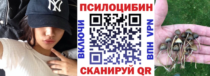 Галлюциногенные грибы MAGIC MUSHROOMS  Кондопога 