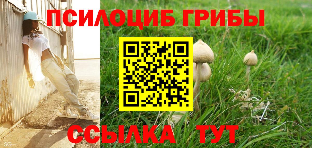 Галлюциногенные грибы Psilocybine cubensis  Псилоцибиновые грибы MAGIC MUSHROOMS  Вход с VPN  Кондопога 